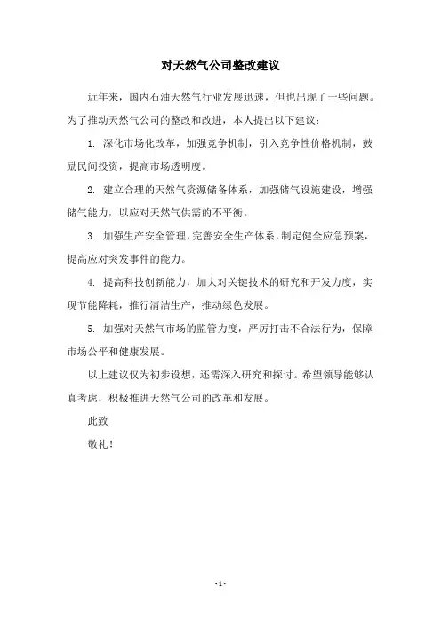 对天然气公司整改建议