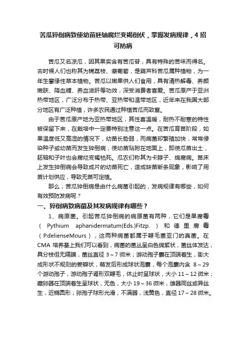 苦瓜猝倒病致使幼苗胚轴腐烂变褐倒伏，掌握发病规律，4招可防病
