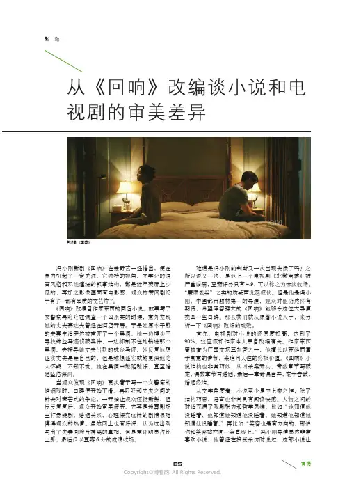 从《回响》改编谈小说和电视剧的审美差异