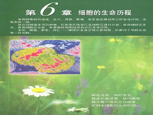人教版高中生物必修一第6章第1节 《细胞的增殖》课件(共50张PPT)