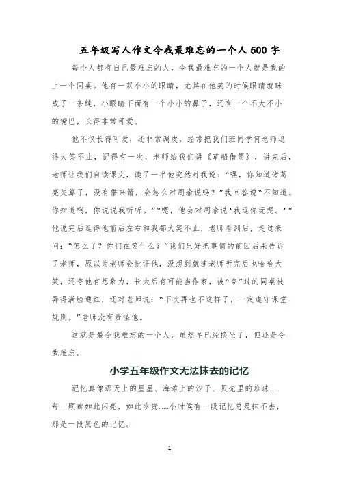 五年级写人作文令我最难忘的一个人500字