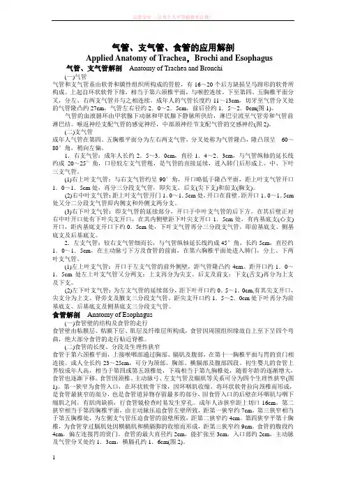 气管支气管食管的应用解剖 (1)