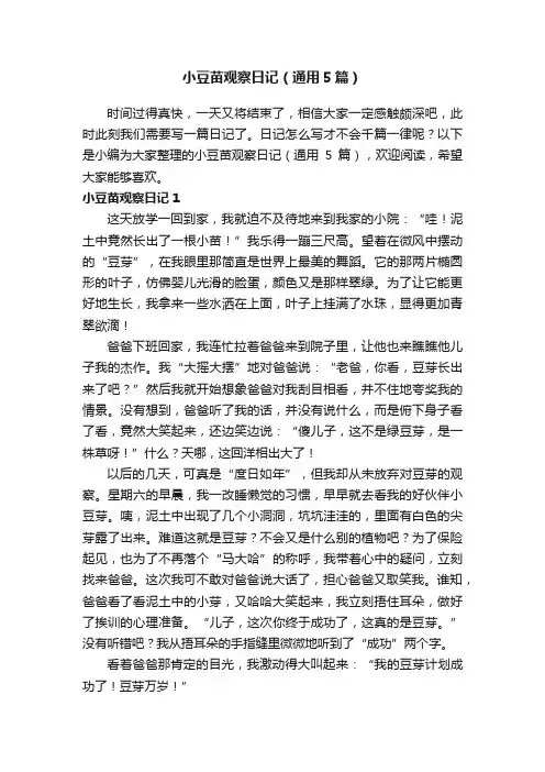 小豆苗观察日记（通用5篇）