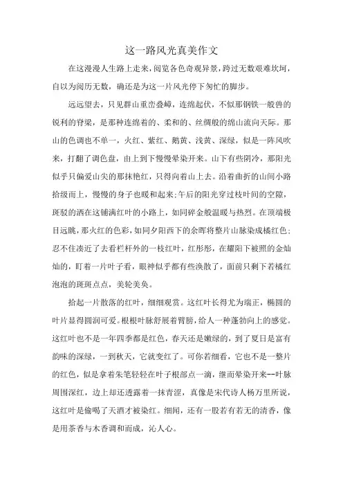 这一路风光真美作文800字初中