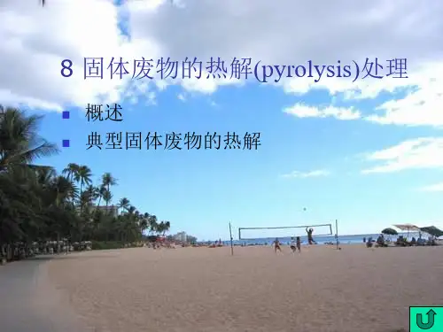 固体废物的热解处理PPT精选文档
