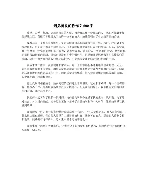 遇见善良的你作文600字