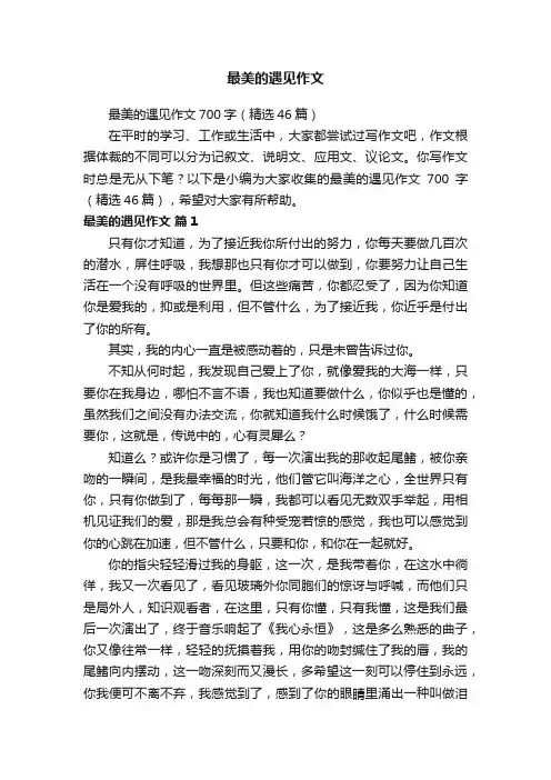最美的遇见作文