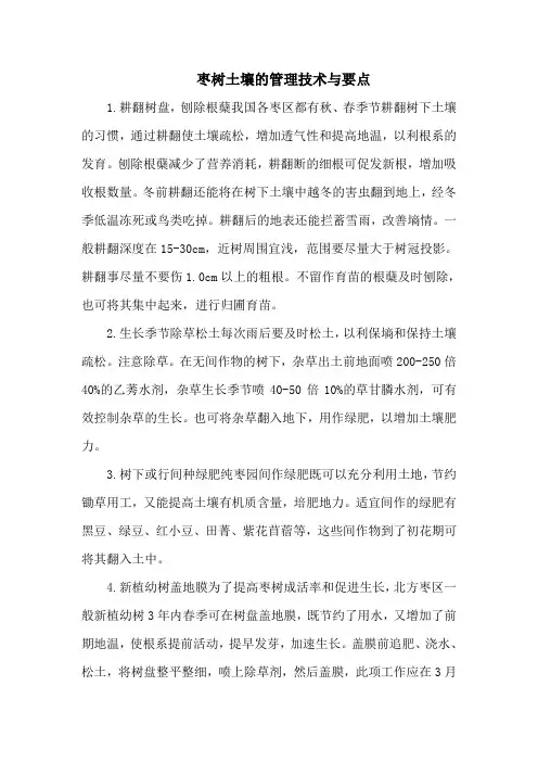 枣树土壤的管理技术与要点