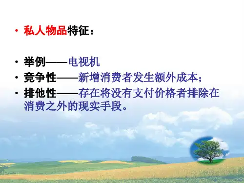 公共物品与公共选择理论