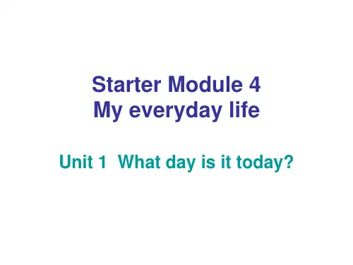 七年级英语上册StarterModule4Myeverydaylife课件新版外研版