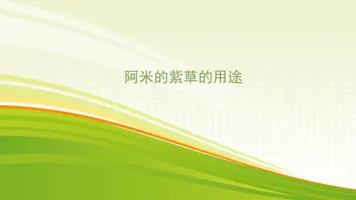 选择阿米的紫草,给你想要的