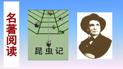 专题06《昆虫记》科普作品的阅读-方法指导及专题探究课件