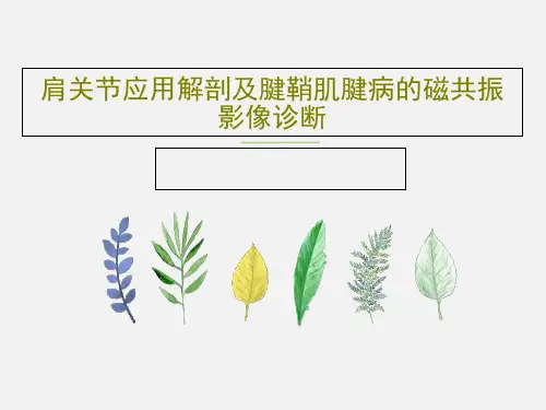 肩关节应用解剖及腱鞘肌腱病的磁共振影像诊断共34页文档