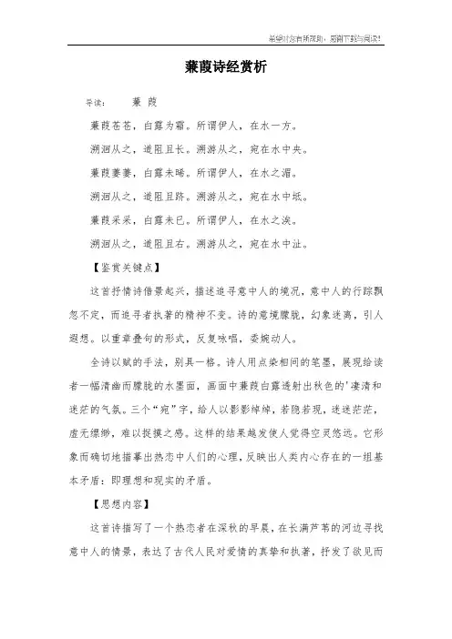蒹葭诗经赏析