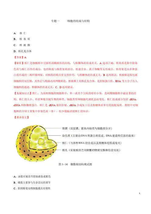 专题1 细胞的分子组成与结构-备战2021年高考生物之(解析版)