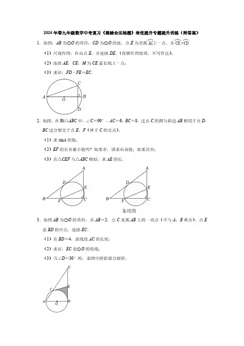 2024年春九年级数学中考复习《圆综合压轴题》培优提升专题提升训练(附答案)
