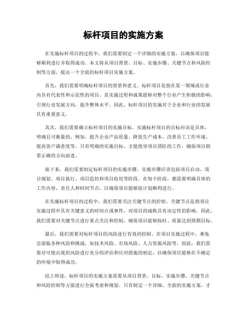 标杆项目的实施方案