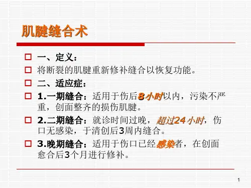 肌腱缝合术介绍