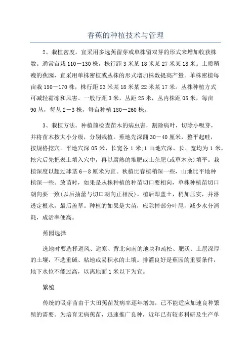 香蕉的种植技术与管理