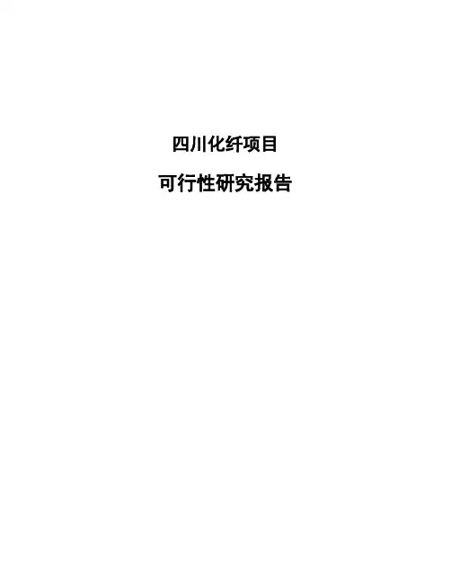 四川化纤项目可行性研究报告