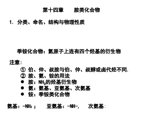 有机化学之胺类化合物-文档资料