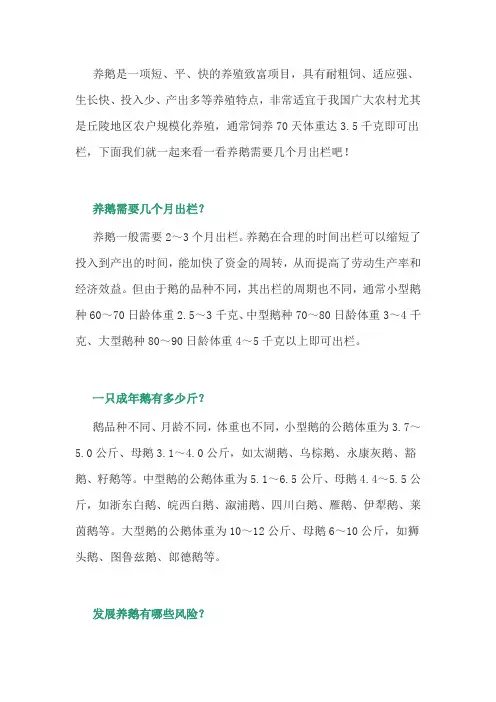 养鹅经验：需要几个月出栏？