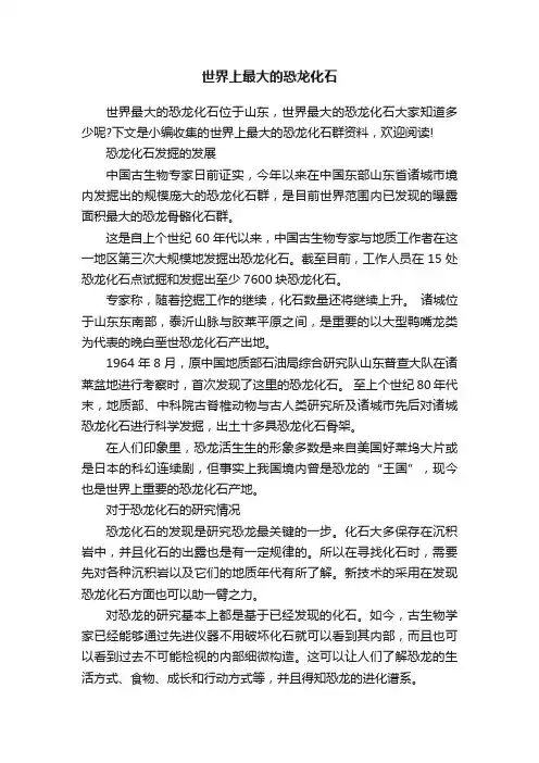 世界上最大的恐龙化石