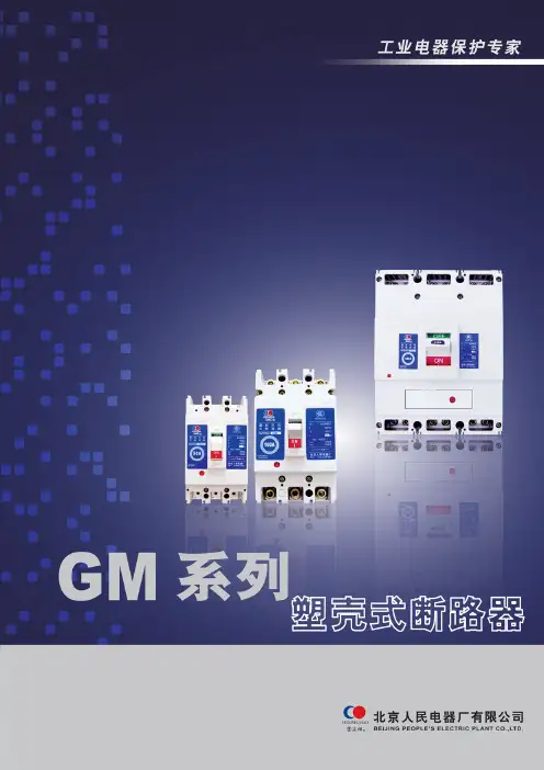 北京人民电器GM系列