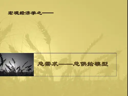 宏观经济学：总需求——总供给模型