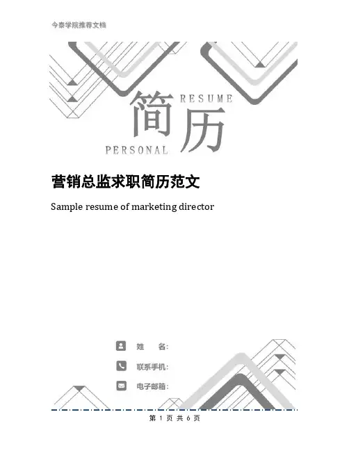 营销总监求职简历范文