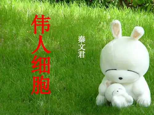 优质课[苏教版]七年级语文(上)《伟人细胞》课件(50张PPT)(共50张PPT)