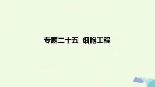 高考生物一轮复习(高手必备萃取高招)专题25细胞工程(含17高考真题及解析)课件新人教版