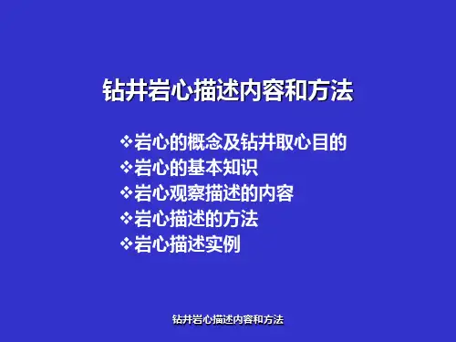 钻井岩心描述内容和方法