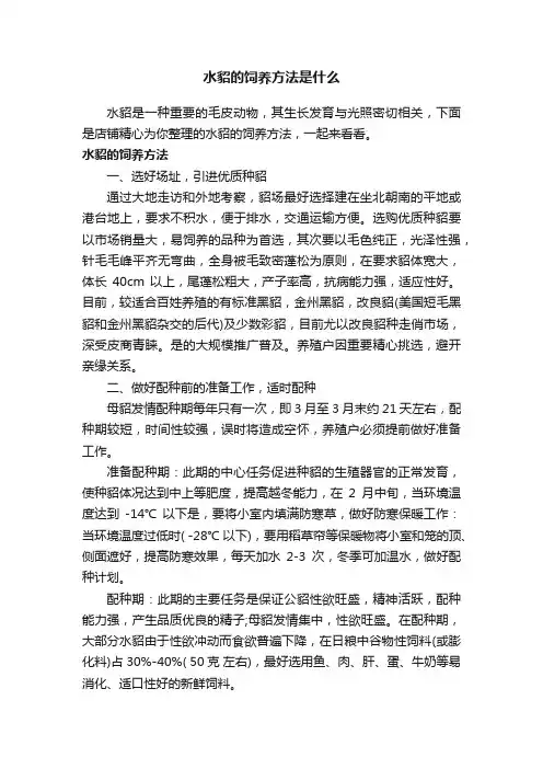 水貂的饲养方法是什么