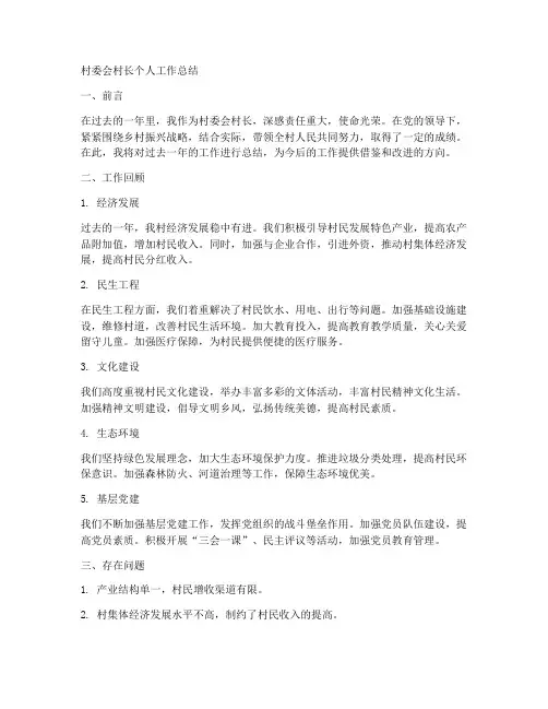 村委会村长个人工作总结