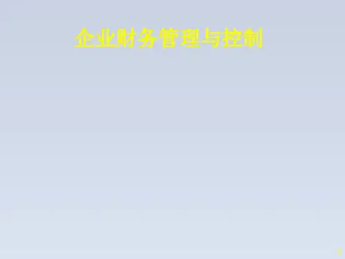 2023-企业财务管理与公司管控pptfs