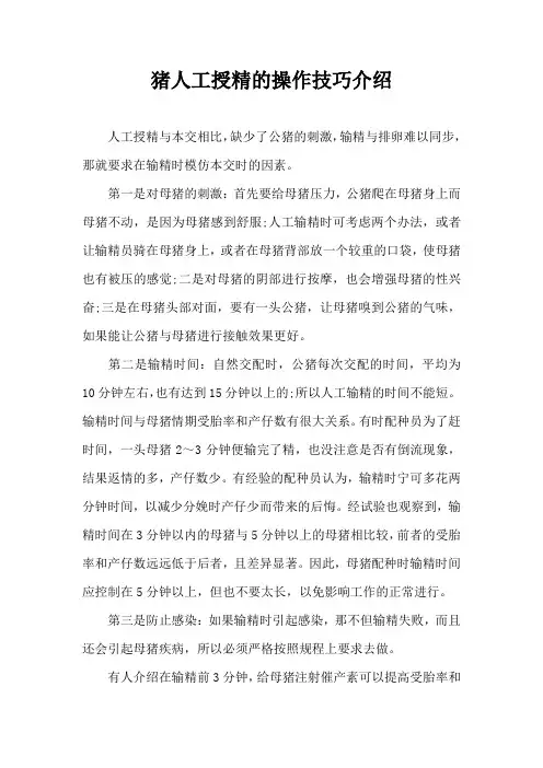 猪人工授精操作技巧介绍