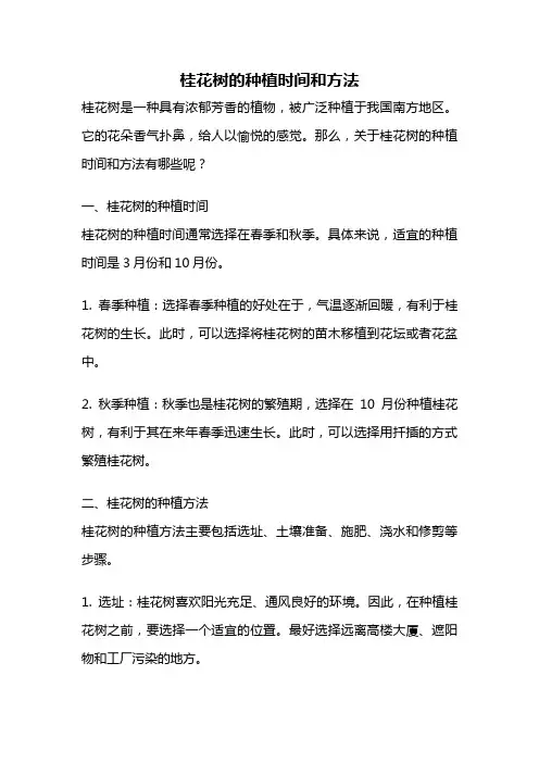 桂花树的种植时间和方法