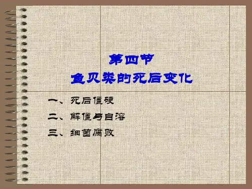 14鱼贝类死后变化-鲜度评价-色香味