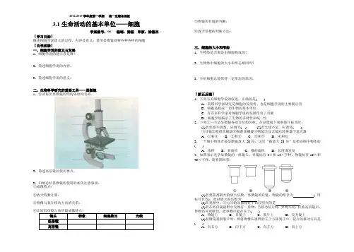 3.1生命活动的基本单位——细胞