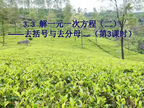 七年级数学上册 3.3.2 去分母课件