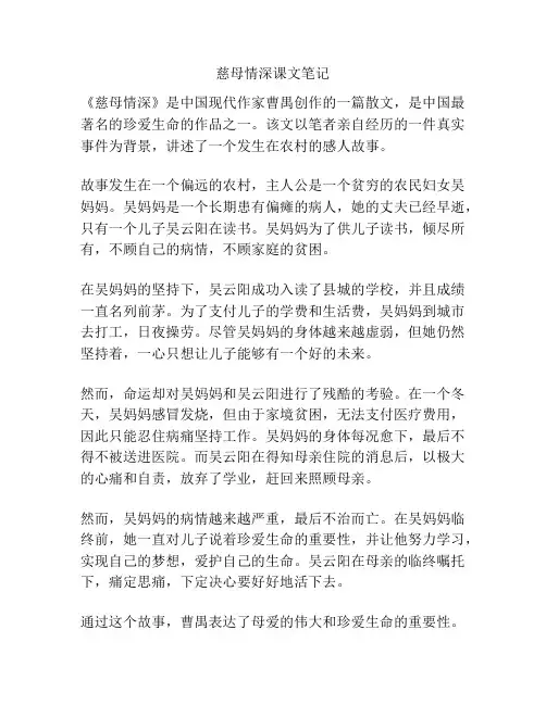 慈母情深课文笔记