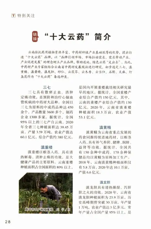 “十大云药”简介