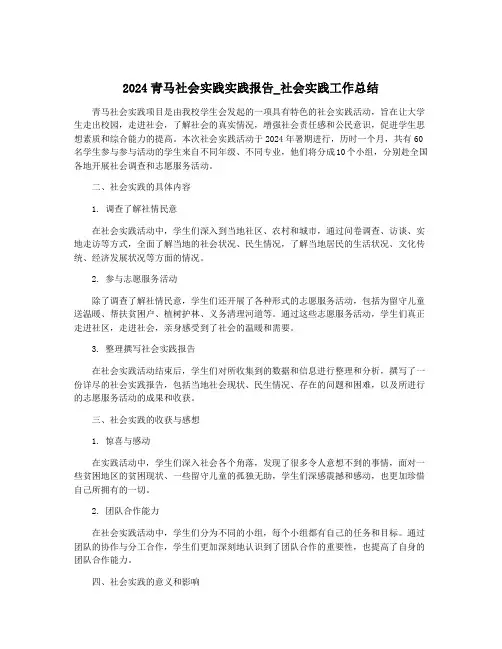 2024青马社会实践实践报告_社会实践工作总结