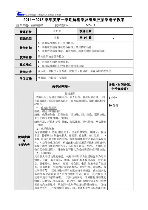 3结缔组织1