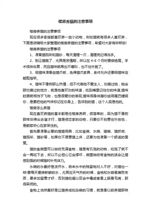 楼房养猫的注意事项