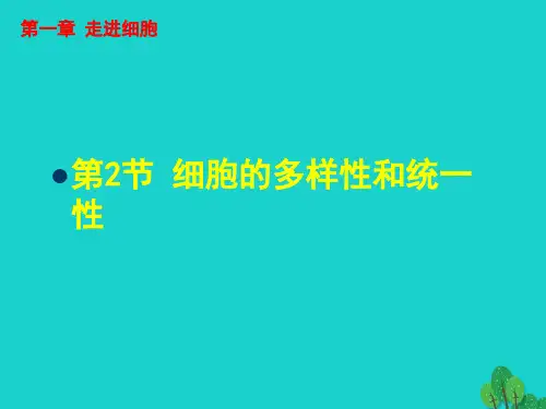 1.2 细胞的多样性和统一性 课件 人教版高中生物必修一