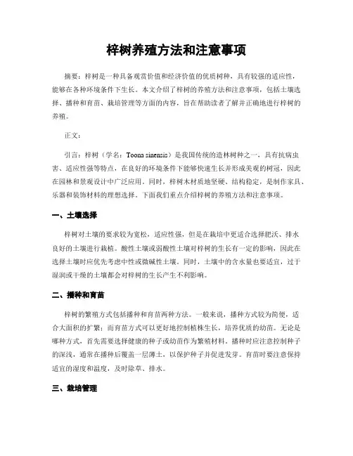 梓树养殖方法和注意事项