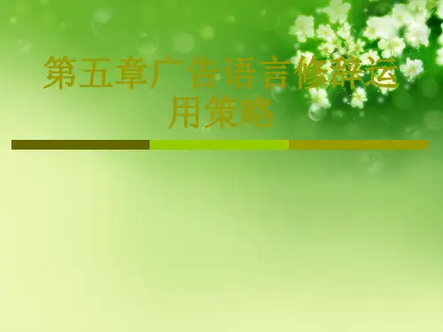 第五章广告语言修辞运用策略优秀课件