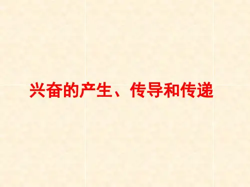 神经调节(三)兴奋的产生、传导和传递